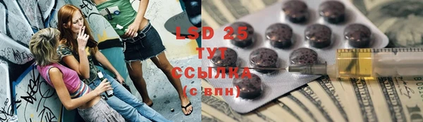 винт Шали