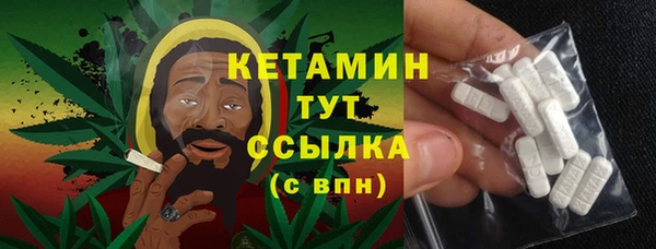 стаф Каменногорск