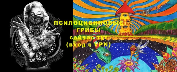 mix Касимов