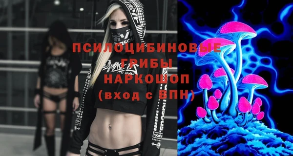 прущие крисы Инта