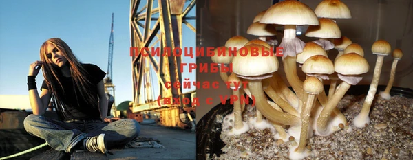 PSILOCYBIN Иннополис