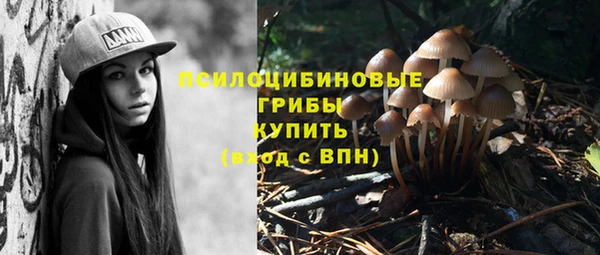 mix Касимов