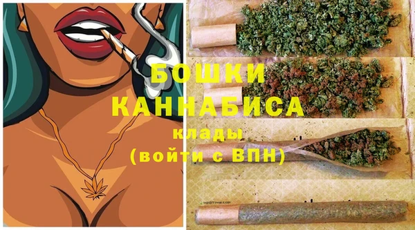 spice Инсар
