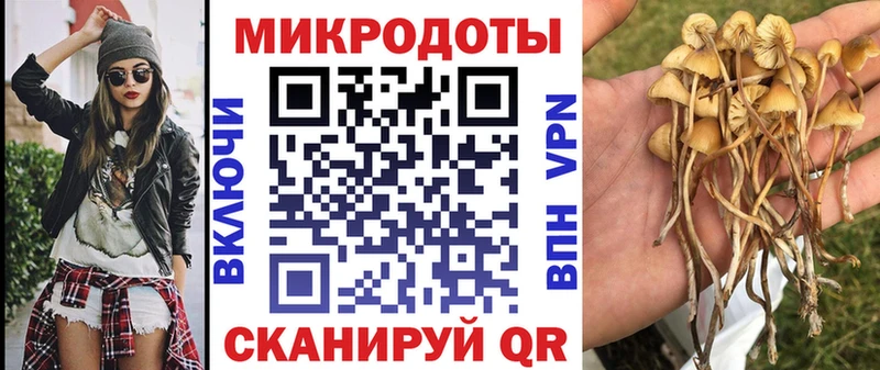 Галлюциногенные грибы MAGIC MUSHROOMS  Кологрив 
