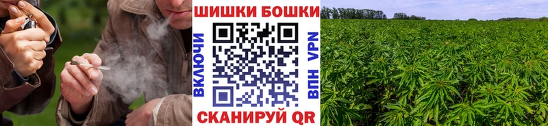 Шишки марихуана тримм  Кологрив 